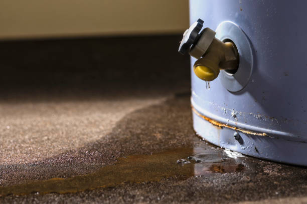 Best Professional water damage repair  in Woodville, FL