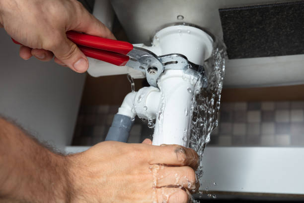 Best Professional water damage repair  in Woodville, FL