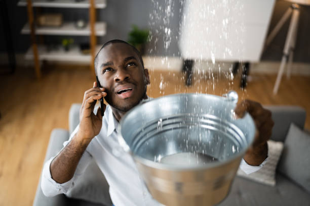 Best 24-hour water damage restoration  in Woodville, FL