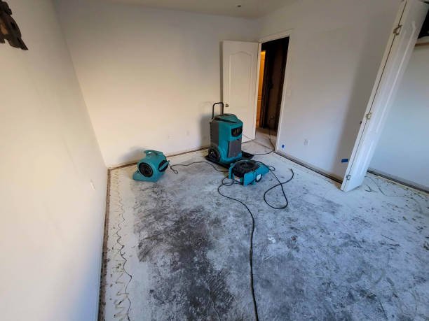 Best Water damage restoration near me  in Woodville, FL