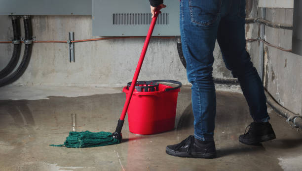 Best Flood damage cleanup  in Woodville, FL
