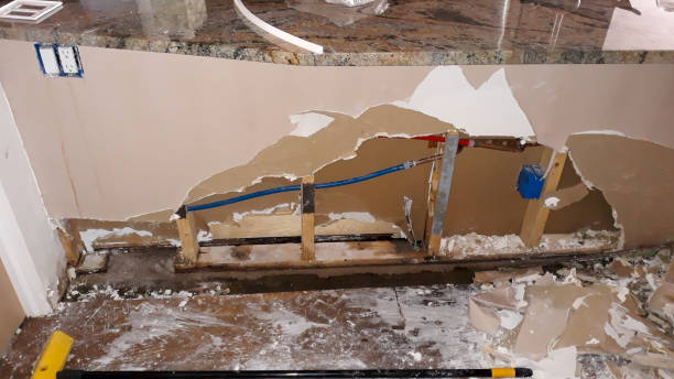Best Water damage cleanup near me  in Woodville, FL