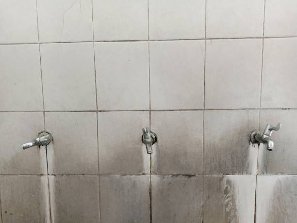 24/7 water damage repair in FL