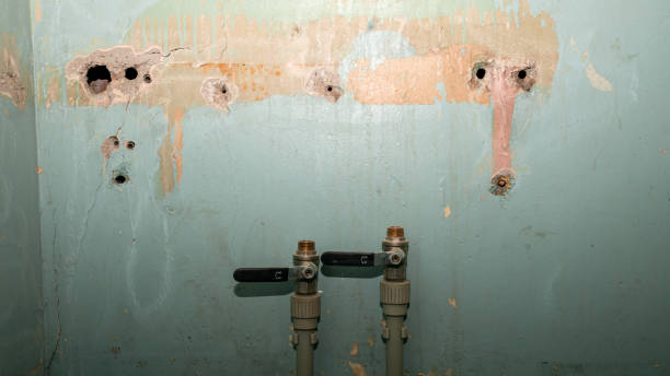 Best 24/7 water damage repair  in Woodville, FL