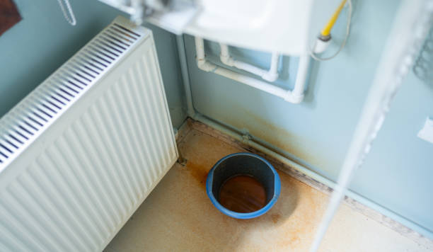 Best Flooded house restoration  in Woodville, FL