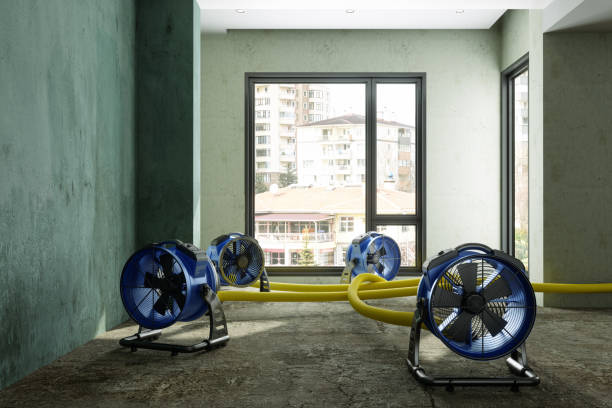 Best Water damage restoration near me  in Woodville, FL